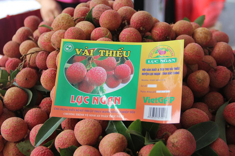 Vải thiều Lục Ngạn
