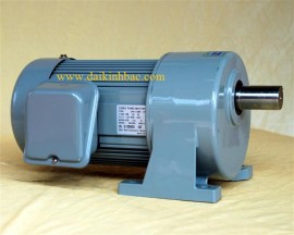 Động cơ giảm tốc Chenta chân đế SHM