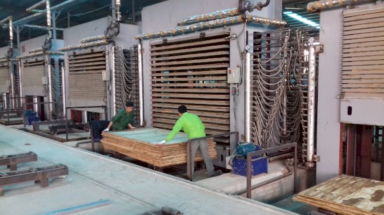 Hệ thống sấy gỗ