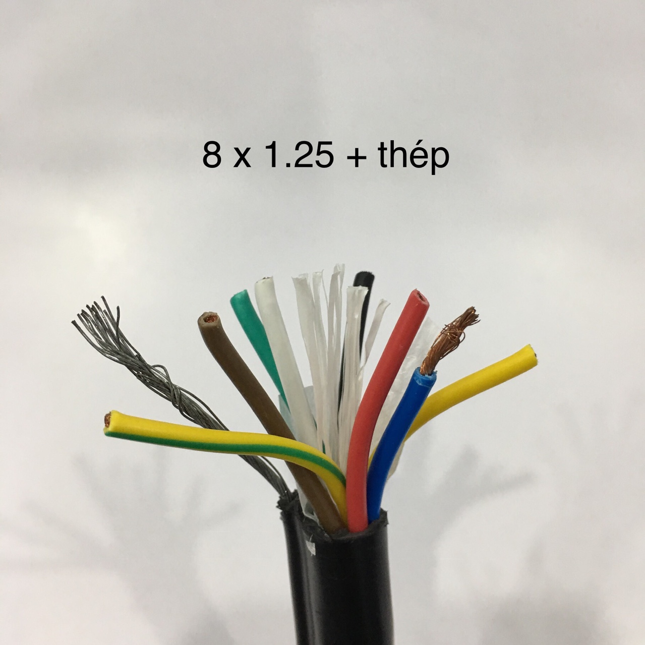 Cáp điều khiển lõi thép (dùng cho cẩu trục)