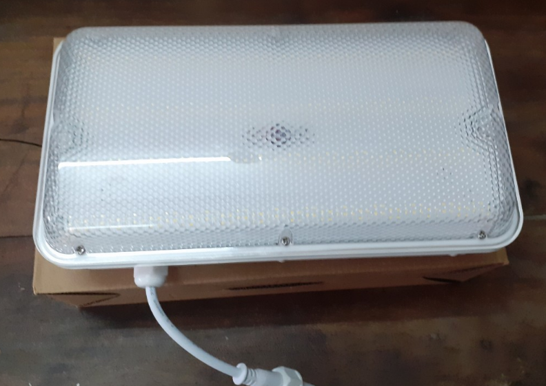 Đèn ốp trần khẩn cấp Pandaco
