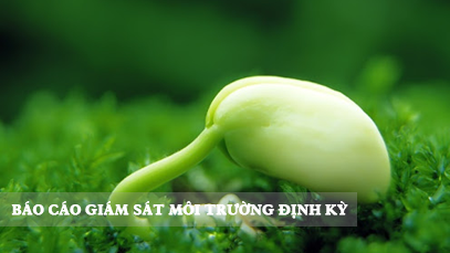 Tư vấn lập báo cáo quan trắc môi trường định kỳ