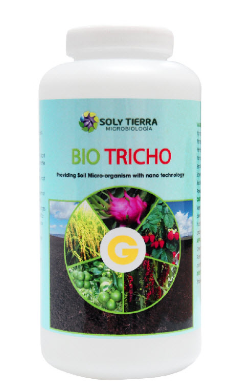 Kiểm soát nấm bệnh hại rễ- BIO TRICHO