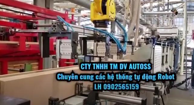 Hệ thống robot gắp gỗ