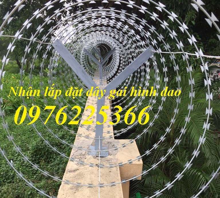  Dây thép gai hình dao mạ kẽm