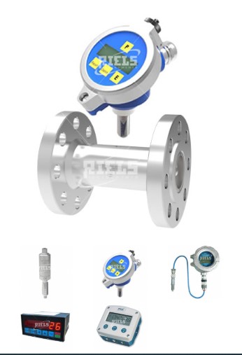 Đồng hồ đo lưu lượng nước RIF100