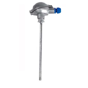 Cảm biến nhiệt H.Heinz phi 10 450 độ 500mm R270G