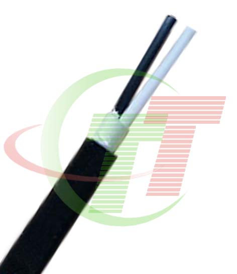 Cáp điều khiển không lưới 2 Core