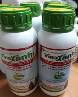 Phân bón lá Vinaxanh 1 dưỡng cành chồi lá cây Kiến Thiết và phục hồi cây sau thu hoạch
