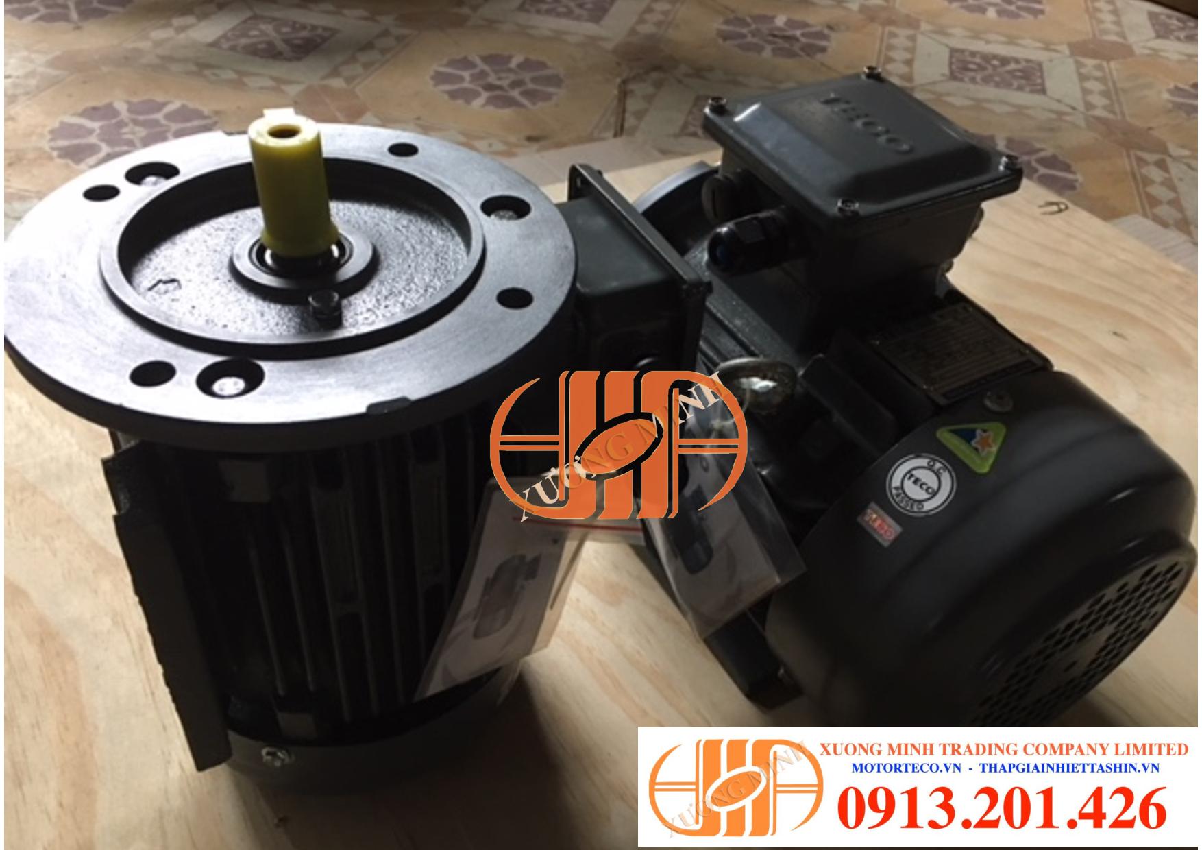 Đông cơ teco 1Hp