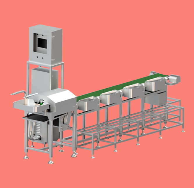 Máy phân cỡ chiều dài tôm sushi model DLTO-002Q-A