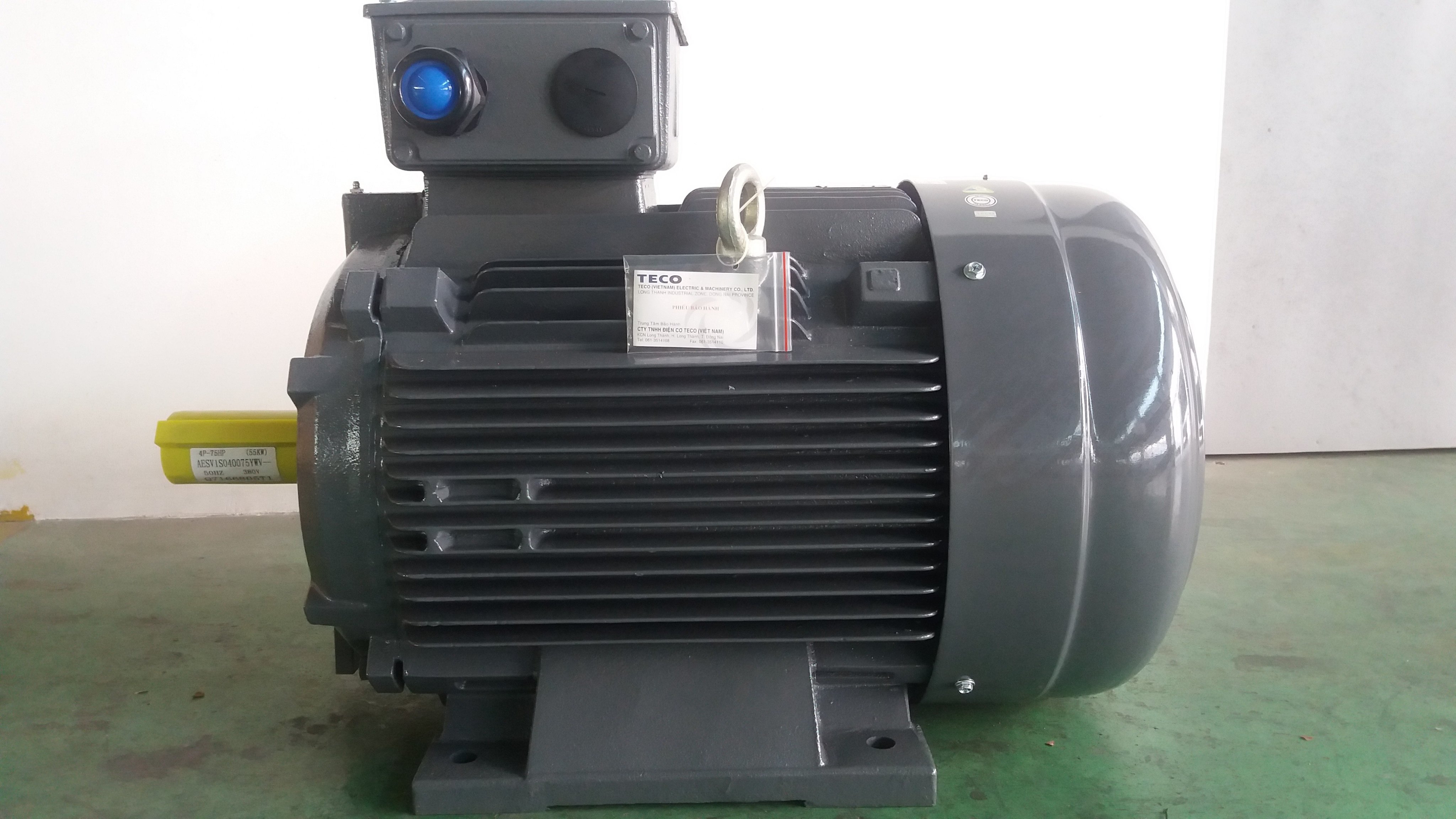 Động cơ điện chân đế TECO AESV1S, xuất xứ Đài Loan