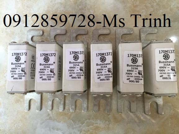 Cầu chì Bussmann 170M1372