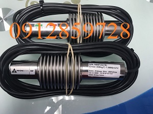Load cell BBF-300, xuất xứ Pavone - Italy