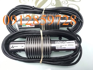 Load cell BBF-500, xuất xứ Pavone - Italy