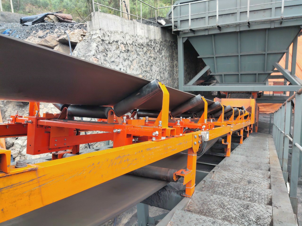 Đồng hồ cân băng tải, cân băng định lượng Pavone - Italia