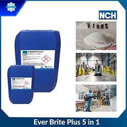 EVER BRITE PLUS 5 IN 1 - Dung dịch khử khuẩn làm sạch