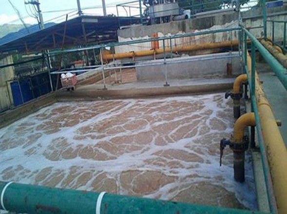 Vận hành thành công hệ thống xử lý nước thải thủy sản
