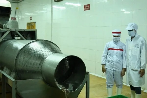 Máy rửa cá công suất lớn