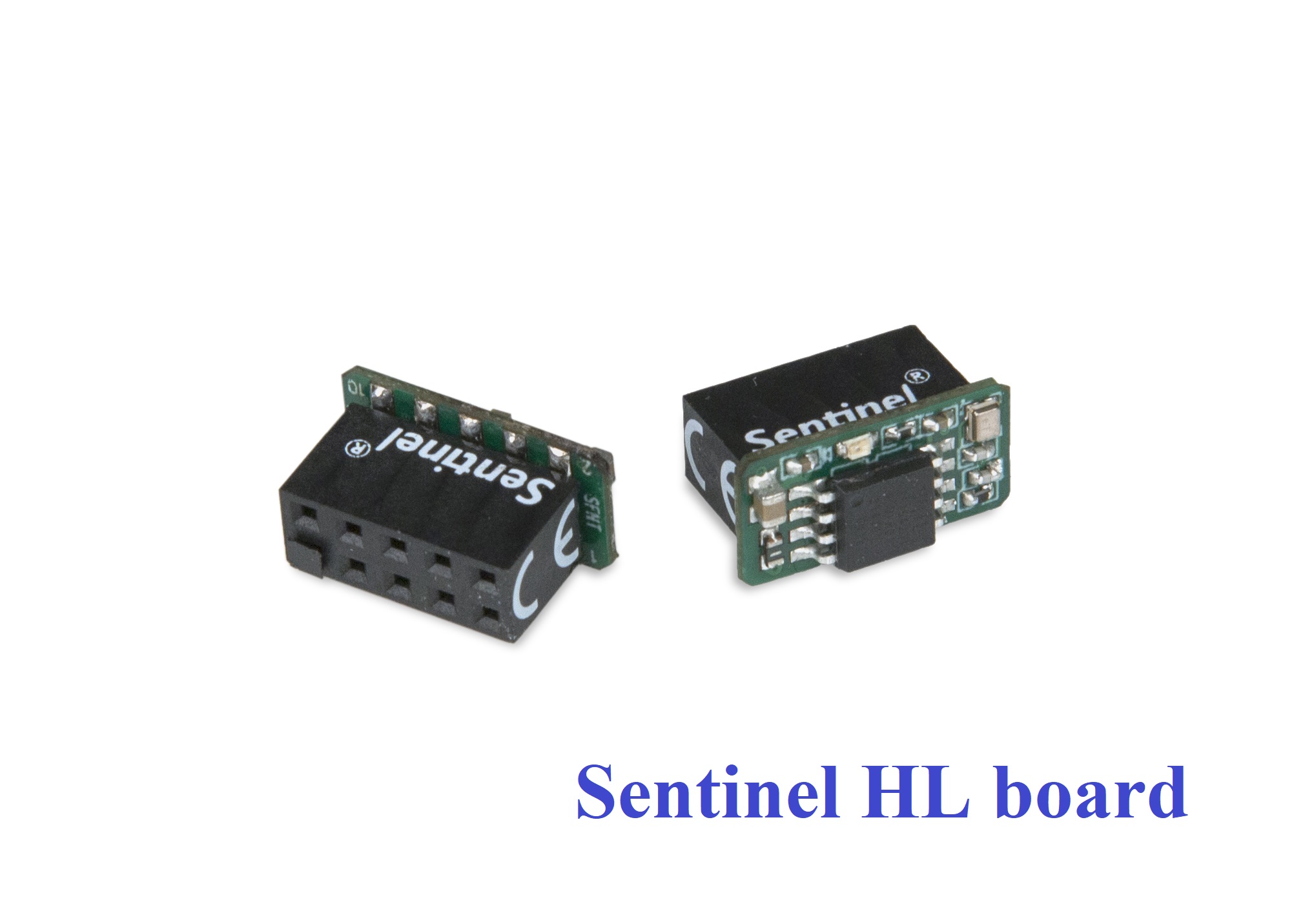 Sentinel HL Max (Usb dongle)