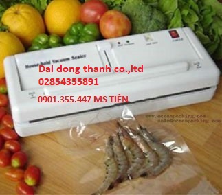Máy đóng gói hút chân không gia đình model DZ-280