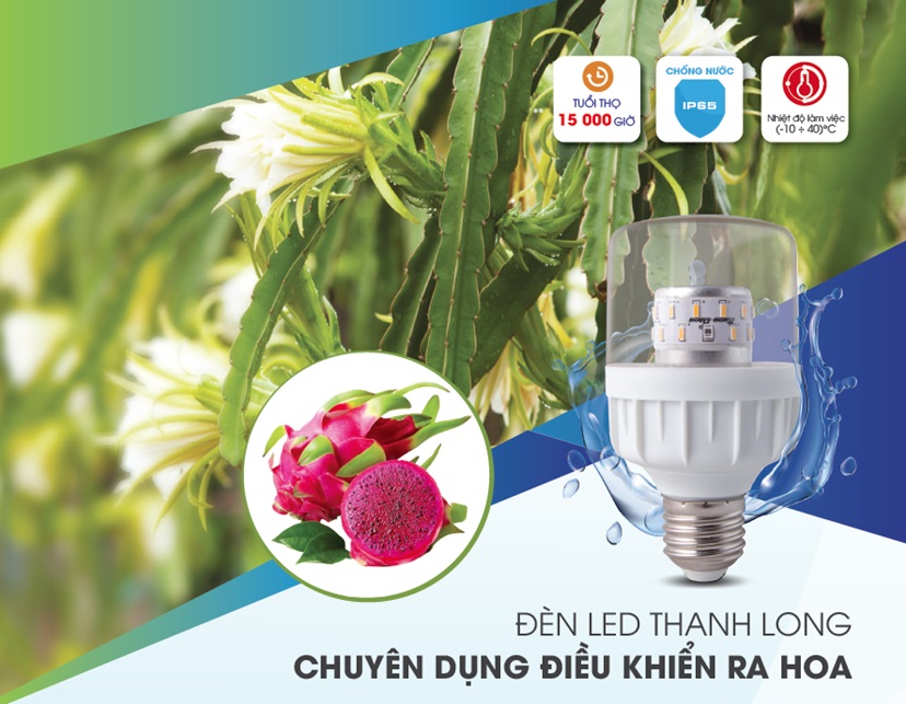 Đèn Led Thanh Long