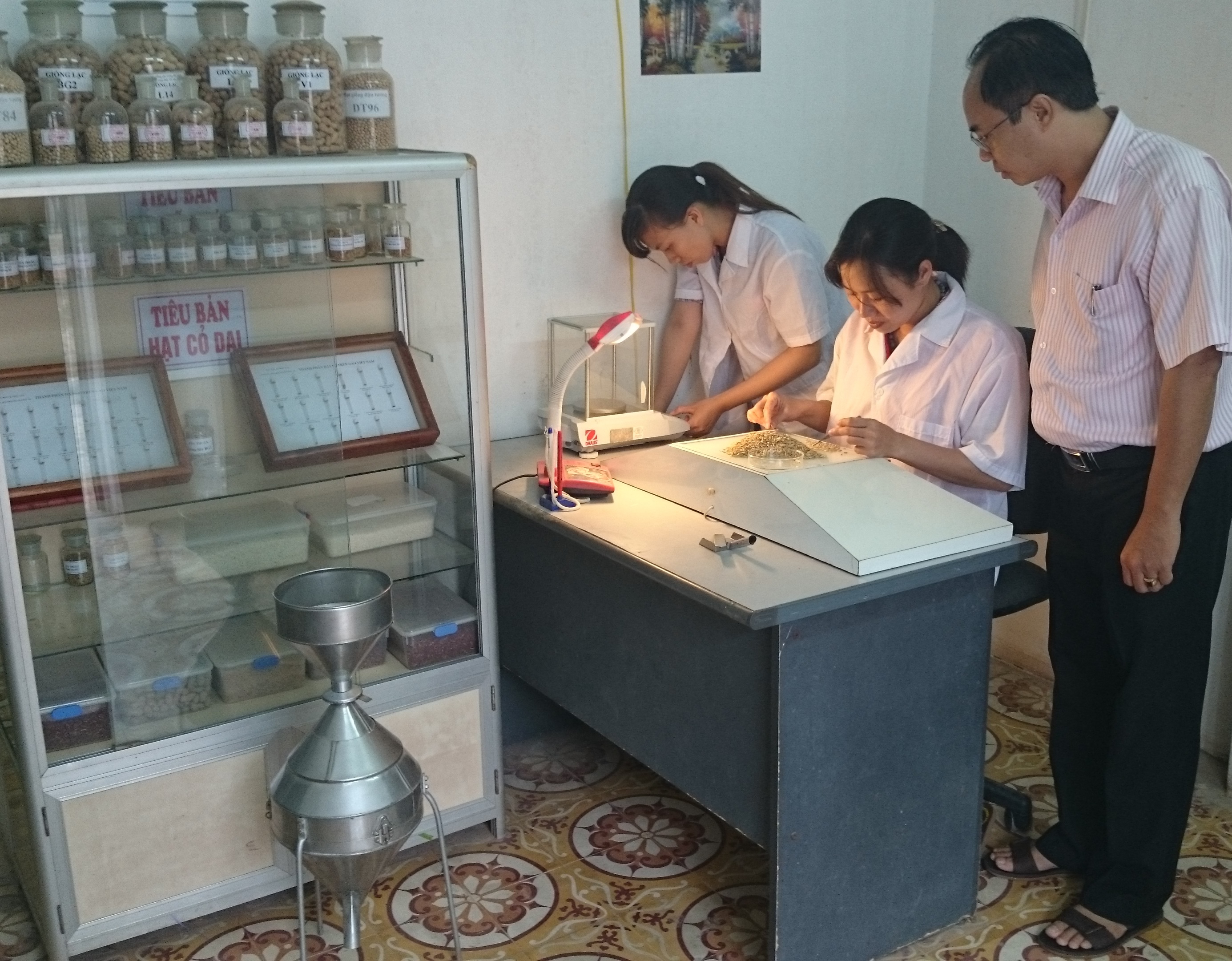 Sản phẩm của BacGiang Seed