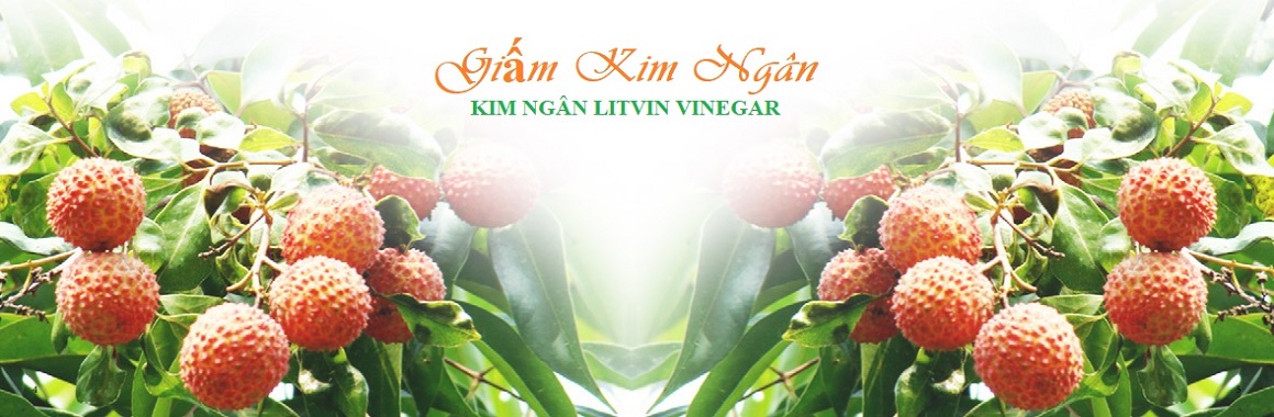 banner chinh