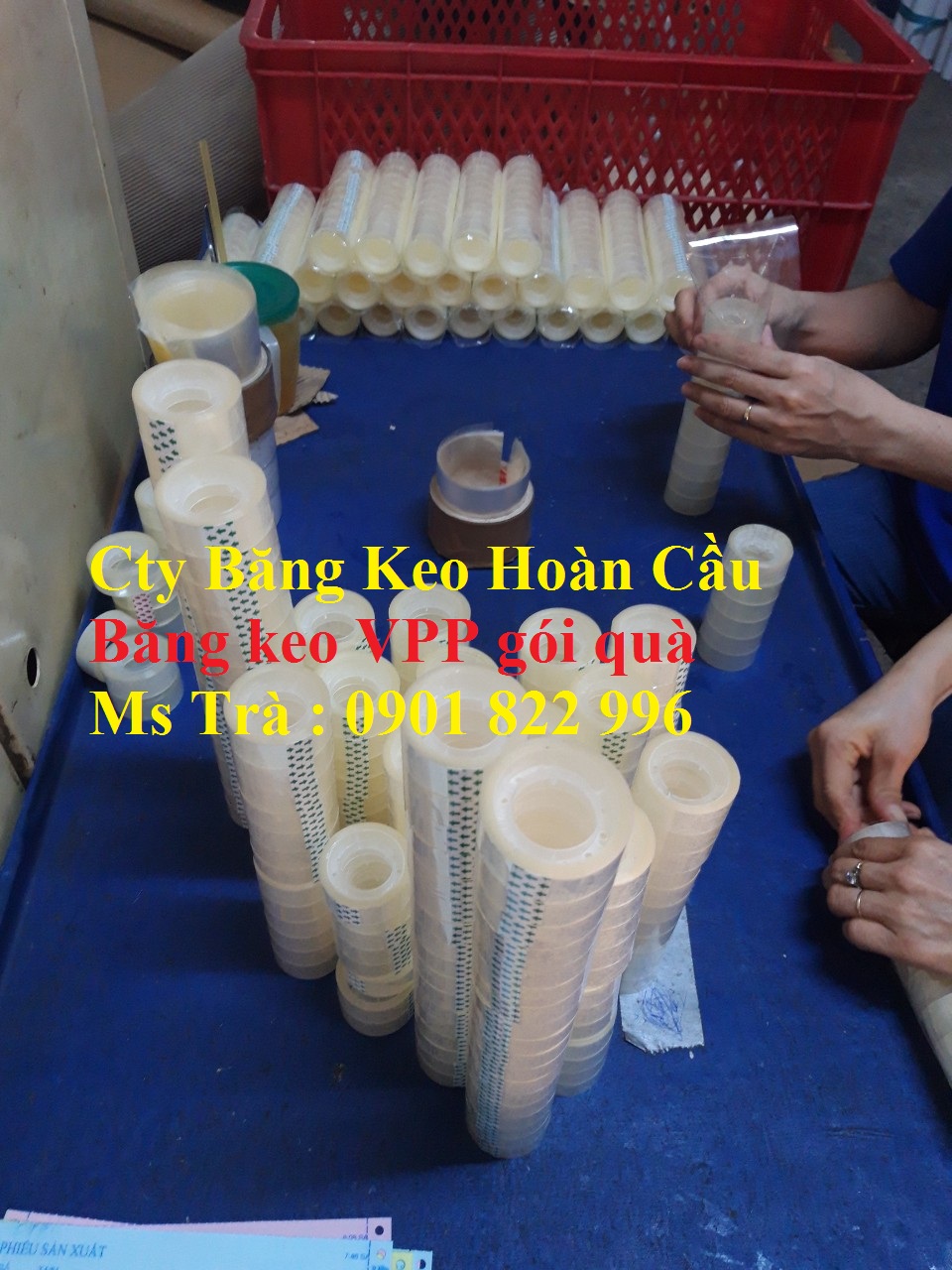 Băng keo văn phòng phẩm gói quà
