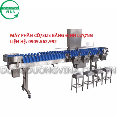 Máy phân cỡ, phân loại, phân size thực phẩm