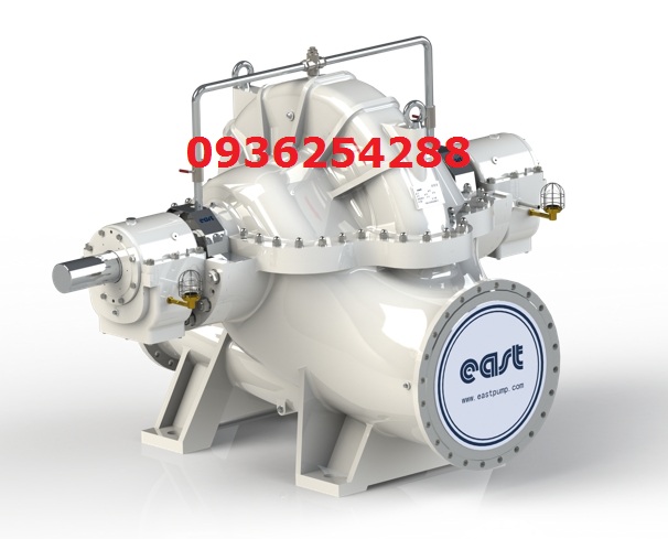 Đại lý bơm hút đôi DongFang East series DFSS