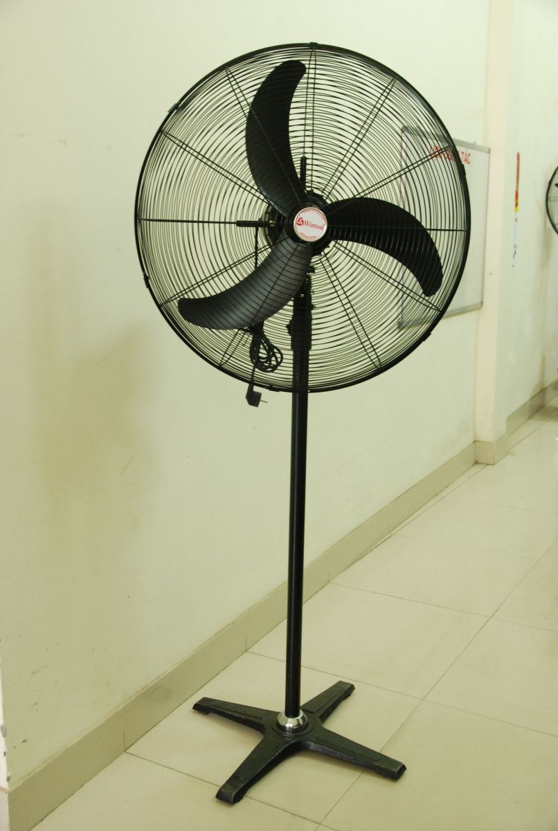 Quạt cây cánh không vỡ Winton