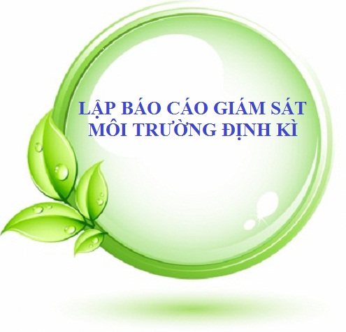 Báo cáo giám sát môi trường định kỳ