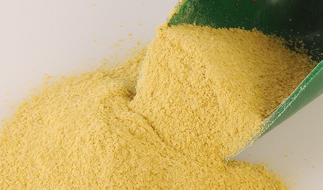 Chiết xuất nấm men Yeast Extract 