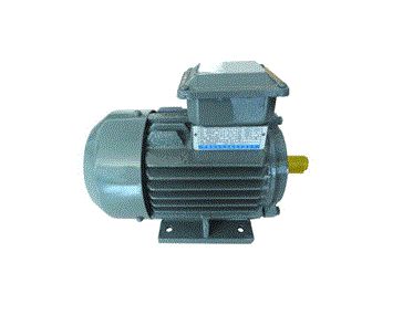 Motor 3 phase Dolin 2P/ 4P/ 6P chân đế và mặt bích