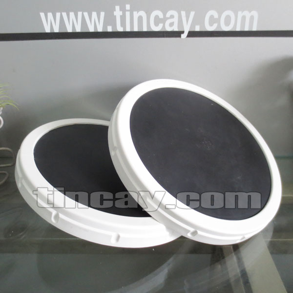 Đĩa thổi khí tinh SSI (đầu tán khí tinh)