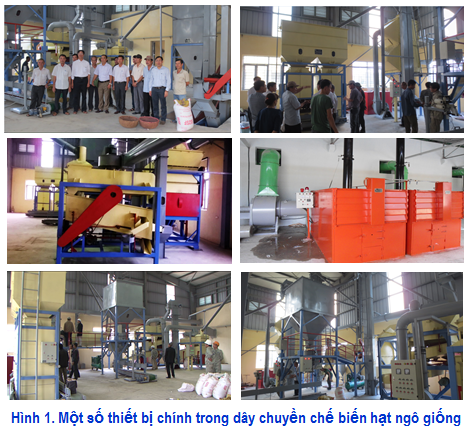 Dây chuyền thiết bị sấy, chế biến ngô giống