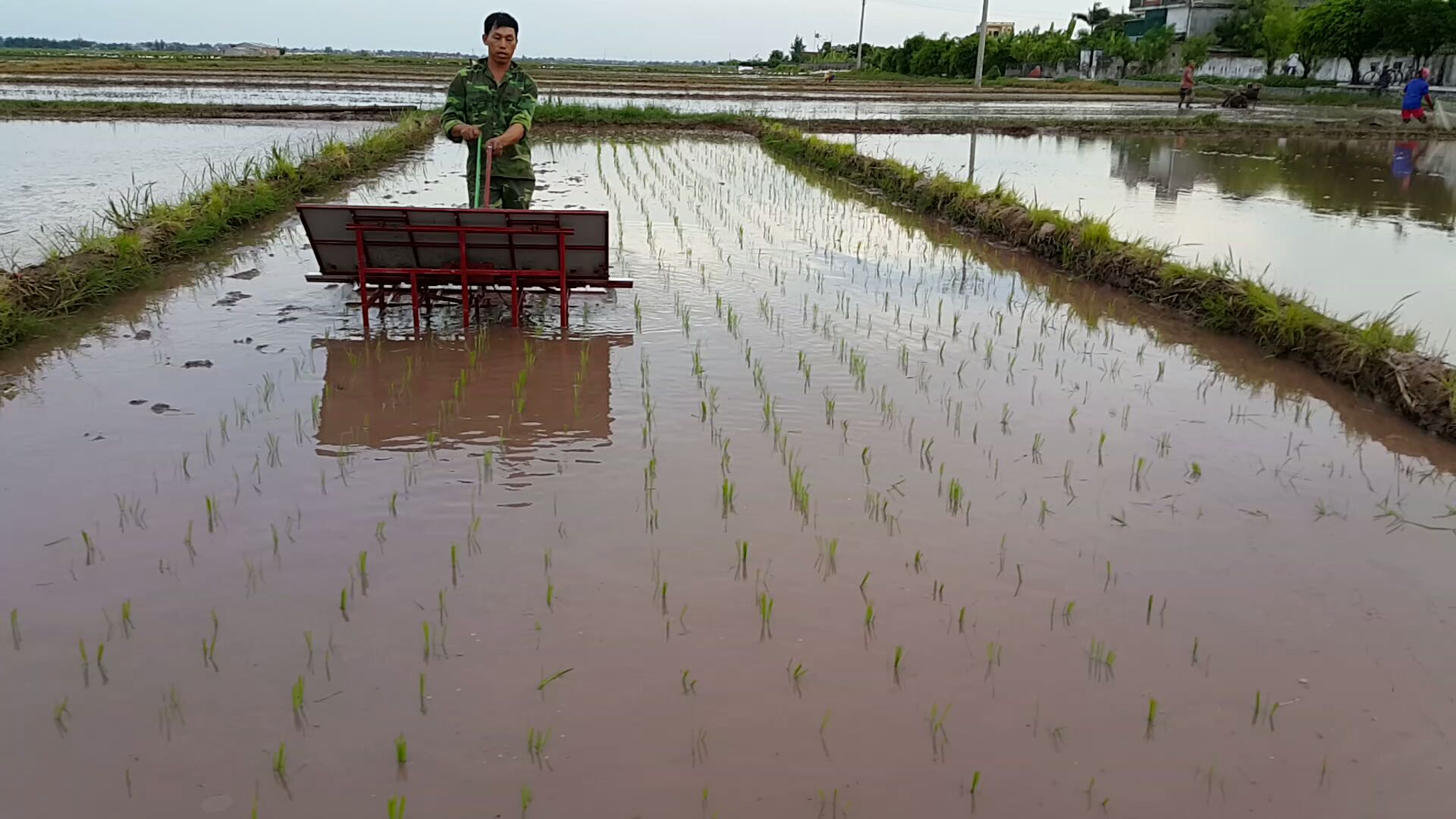 Máy cấy lúa không dùng động cơ loại 6 hàng cấy - 6H22