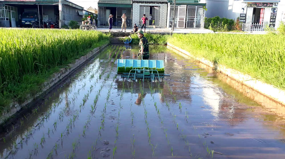 Máy cấy lúa sử dụng động cơ điện loại 6 hàng cấy - 6H- ĐC20