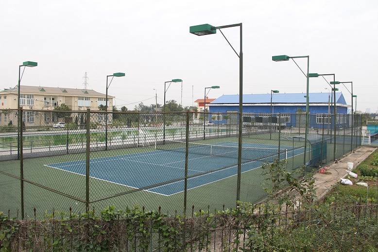 Lưới bọc nhựa B41