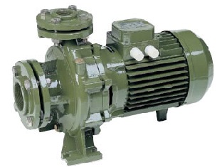 Máy bơm nước ly tâm trục ngang Saer Model IR
