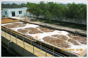 Công nghệ thu gom và xử lý nước rác