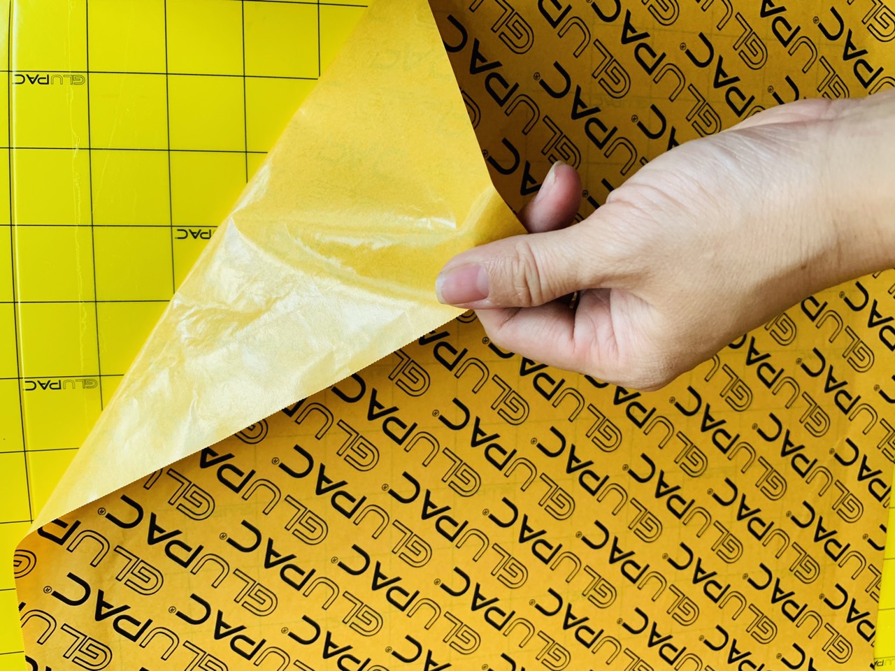 Tấm keo vàng dính côn trùng