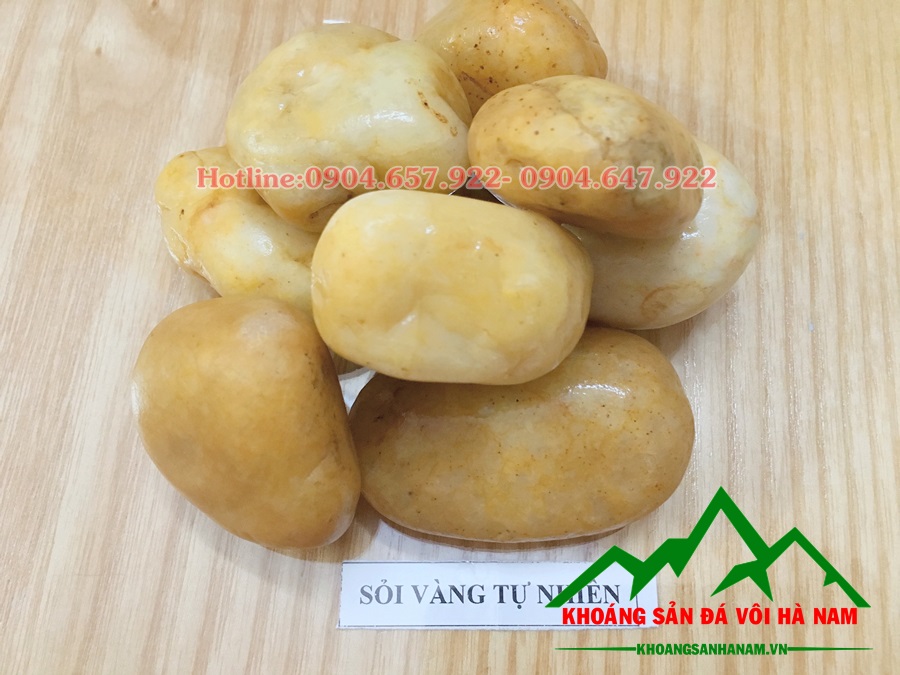 Sỏi tự nhiên màu vàng