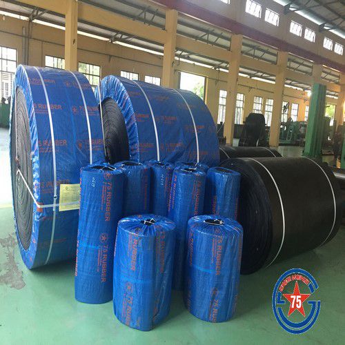 Băng tải cao su cốt bạt EP chịu mài mòn
