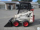 Máy xúc lật TCM Bobcat 315