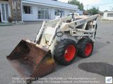 Xe xúc lật mini TCM Bobcat 343