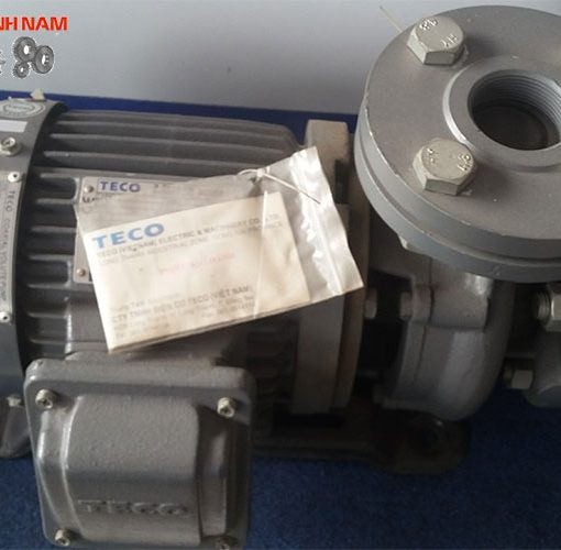 Bơm nước Teco G-30-25 2P 1/2HP 0.37kW