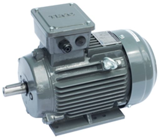 Motor điện Teco chân đế 11kW