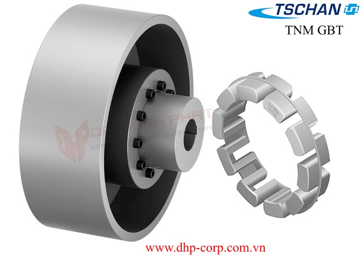 Khớp nối TSCHAN Nor mex GBT